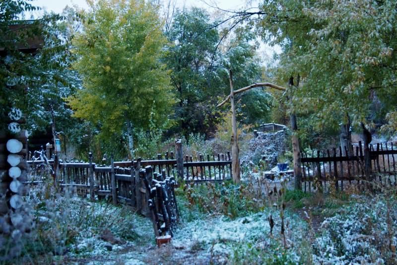 Taos Goji Farm & Eco-Lodge Retreat Arroyo Seco Exterior photo